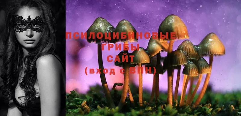 Псилоцибиновые грибы Magic Shrooms  где продают   Верхняя Пышма 